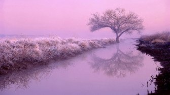 Pink HD  Cool Wallpapers1